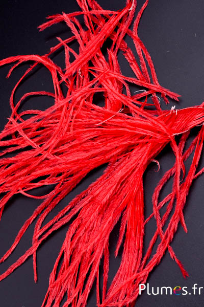 Autruche barbules - 8-15 cm - rouge
